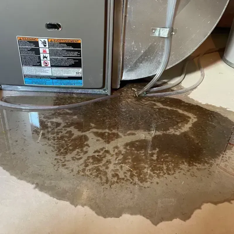 Appliance Leak Cleanup in Sun City, CA